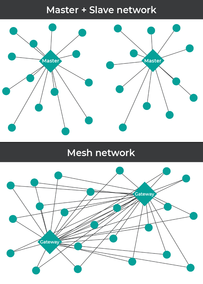 Master + Slave Network