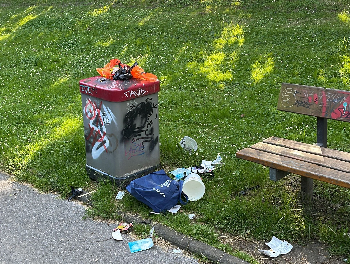 Cityscape - overfilled bins